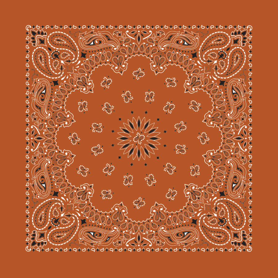 12-Pack USA Made Paisley Bandanna - BURNT ORANGE, 22x22 inch, traditional two-sided print.