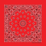 PAISLEY TOP SELLER 12 PK - The Bandanna Company Store