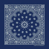 PAISLEY TOP SELLER 12 PK - The Bandanna Company Store