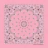 HAV-A-HANK light pink paisley bandana bandanna