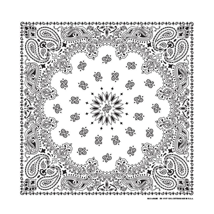 PAISLEY TOP SELLER 12 PK - The Bandanna Company Store