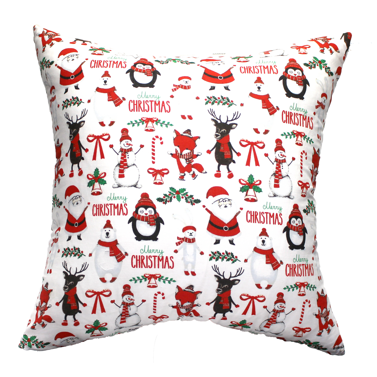 http://thebandannastore.com/cdn/shop/products/WinterWonderlandPillow_1200x1200.png?v=1669134825