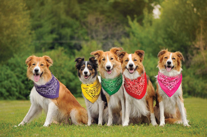 Kelly Green Paisley Bandanna 4 Pack – Cotton 22x22