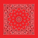 Red bandana with white paisley pattern on a red background