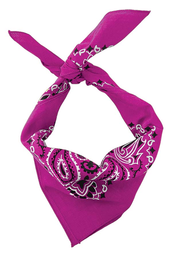Fuchsia Paisley Bandanna 4 Pack – Cotton 22x22