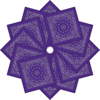 12-Pack USA Made Paisley Bandanna - PURPLE