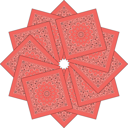 12-Pack USA Made Paisley Bandanna - HONEYSUCKLE