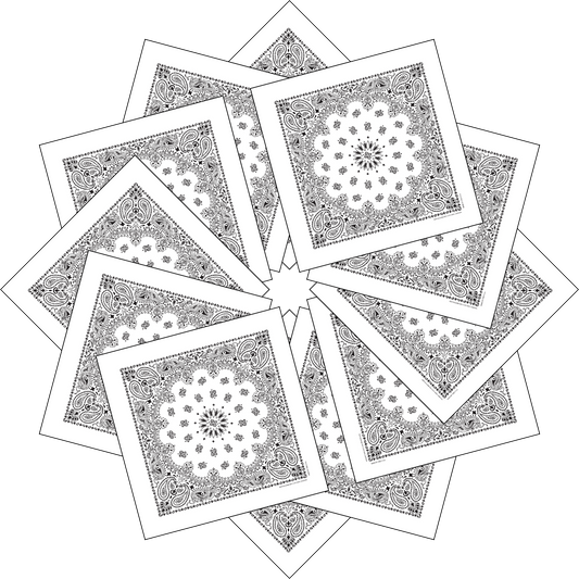 12-Pack USA Made Paisley Bandanna - WHITE