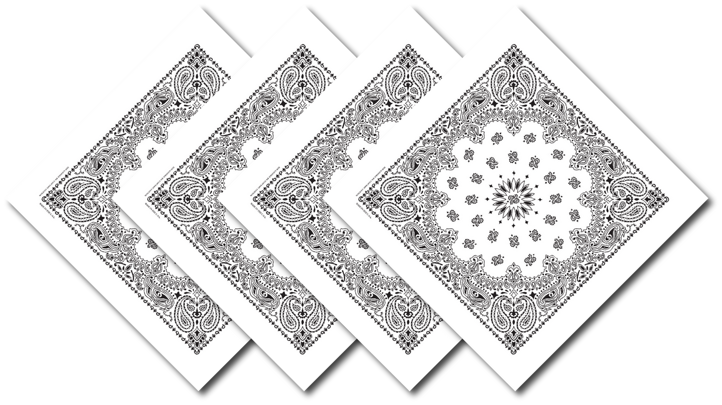 4-Pack USA Made Paisley Bandanna - WHITE