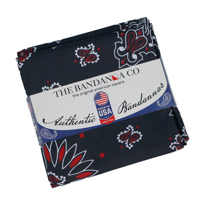 4-Pack USA Made Paisley Bandanna - BLACK/RED