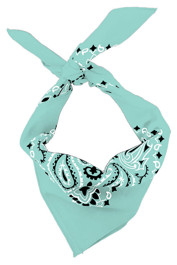 4-Pack USA Made Paisley Bandanna - MINT in mint color with traditional paisley design, 100% cotton, 22" x 22".