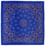 3 PACK USA MADE PAISLEY - 36 COLORS!