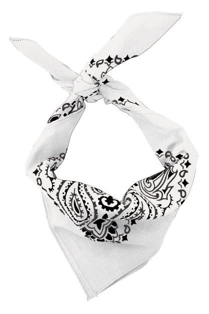 4-Pack USA Made Paisley Bandanna - WHITE