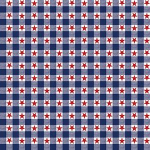 Independence Bandanna Assortment 4-Pack - Made In The USA pattern featuring red stars on a blue and white plaid background.