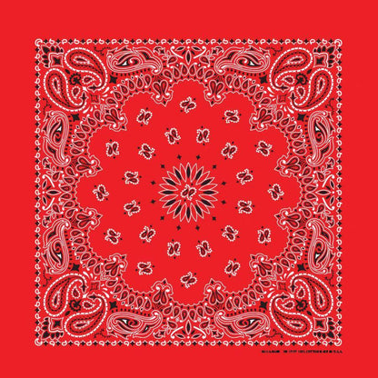 red paisley bandana bandanna