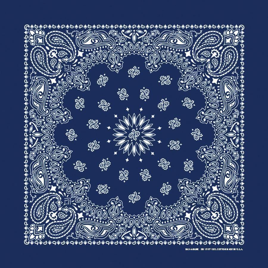 Paisley Blue Bandana Top