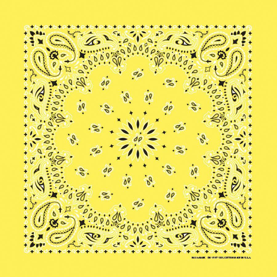 HAV-A-HANK 3 PACK PAISLEY HANDKERCHIEFS - 34 COLORS!