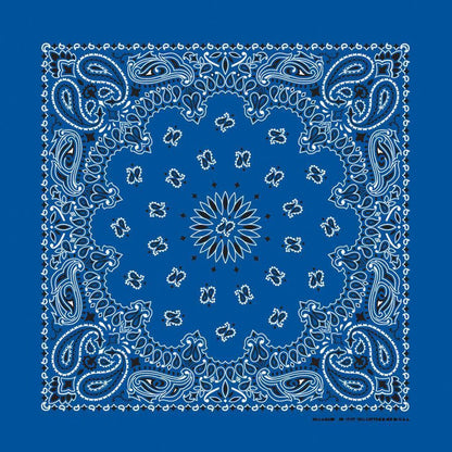HAV-A-HANK  royal blue paisley bandana bandanna