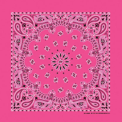 HAV-A-HANK fuschia paisley bandana bandanna