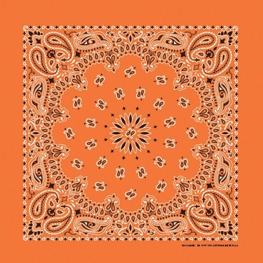 B22PAI-000009-OrangePaisley.