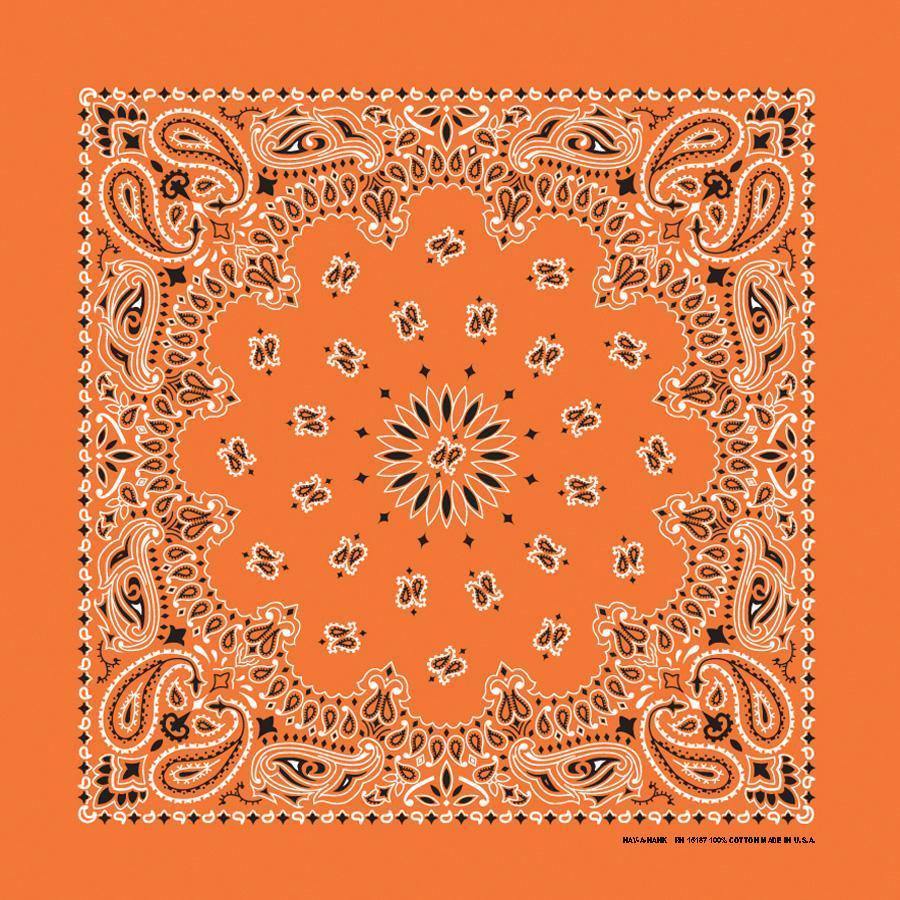 HAV-A-HANK orange paisley bandana bandanna