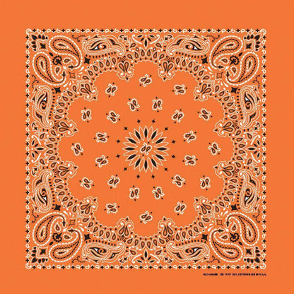 HAV-A-HANK orange paisley bandana bandanna