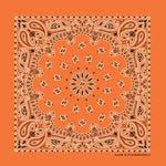 HAV-A-HANK orange paisley bandana bandanna