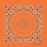 HAV-A-HANK orange paisley bandana bandanna