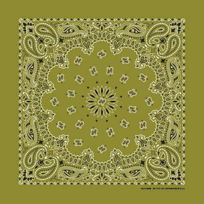 HAV-A-HANK olive green paisley bandana bandanna