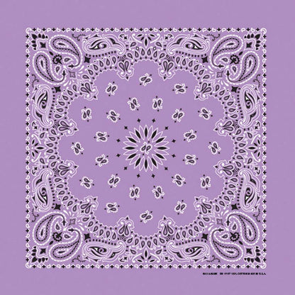 HAV-A-HANK lavender paisley bandana bandanna