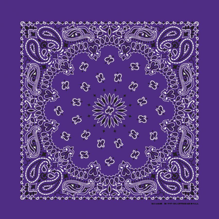 HAV-A-HANK plum paisley bandana bandanna