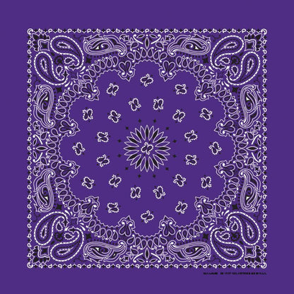 HAV-A-HANK plum paisley bandana bandanna