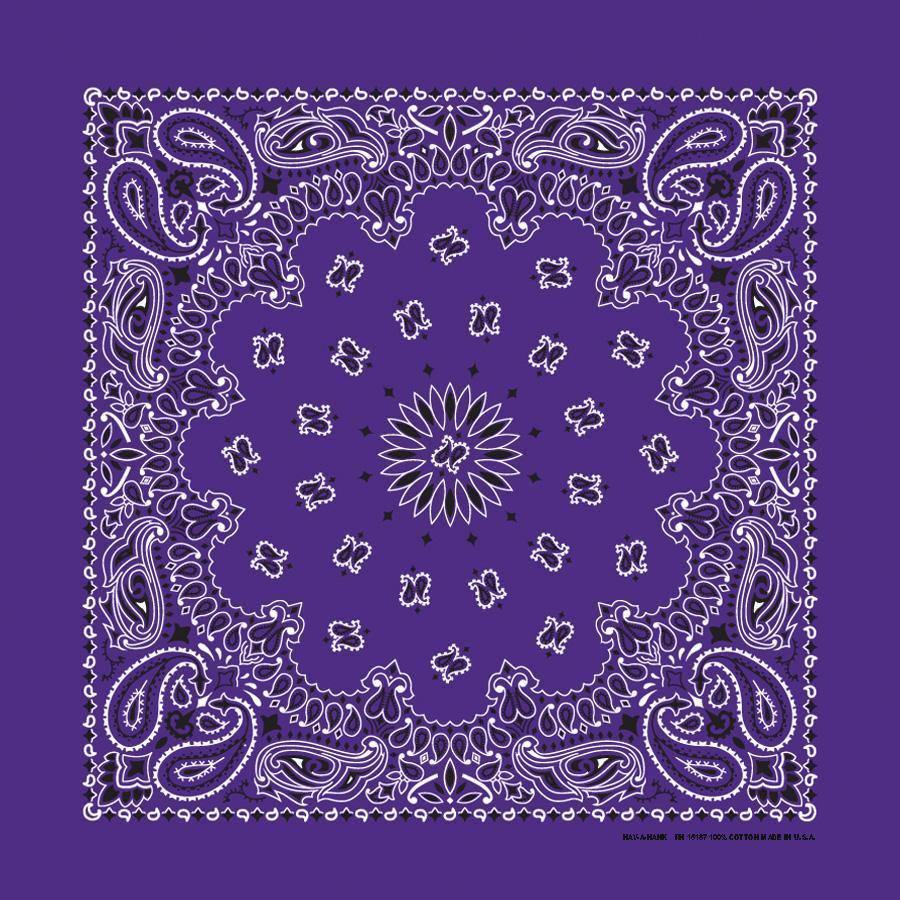 HAV-A-HANK plum paisley bandana bandanna
