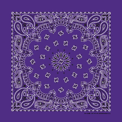 HAV-A-HANK plum paisley bandana bandanna