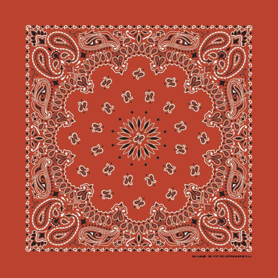 HAV-A-HANK terracotta paisley bandana bandanna