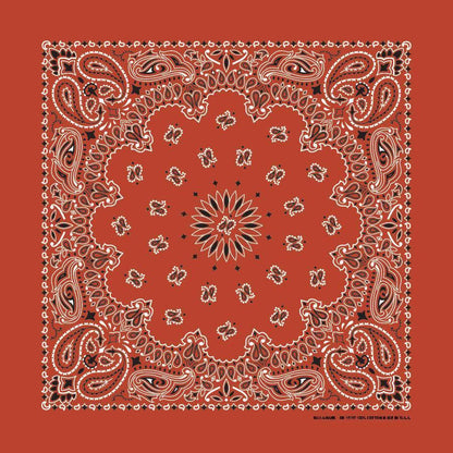 HAV-A-HANK terracotta paisley bandana bandanna