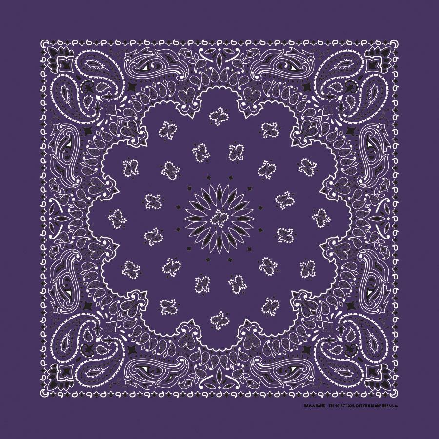 HAV-A-HANK 3 PACK PAISLEY HANDKERCHIEFS - 34 COLORS!