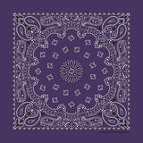 HAV-A-HANK dark purple paisley bandana bandanna