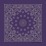 HAV-A-HANK dark purple paisley bandana bandanna
