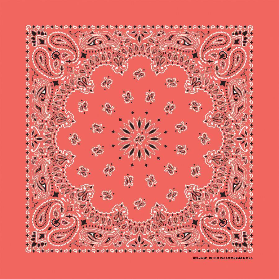 4-Pack USA Made Paisley Bandanna - HONEYSUCKLE in traditional paisley design, vibrant pink color, 100% cotton, 22" x 22" size.