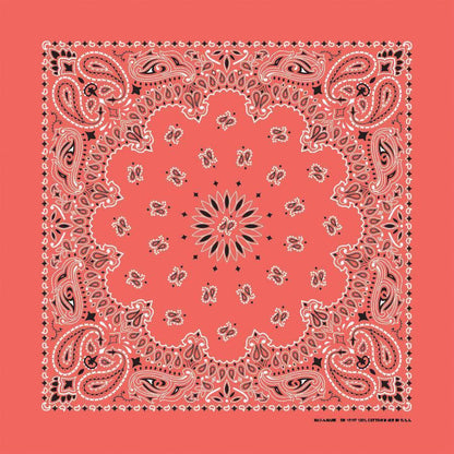 4-Pack USA Made Paisley Bandanna - HONEYSUCKLE in traditional paisley design, vibrant pink color, 100% cotton, 22" x 22" size.