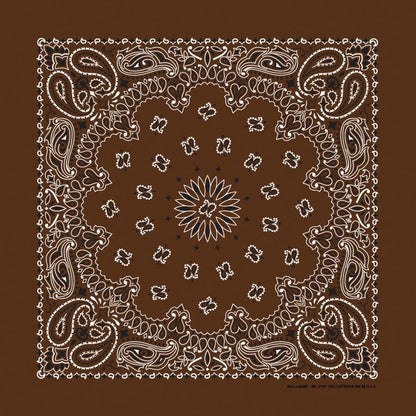 HAV-A-HANK cocoa paisley bandana bandanna