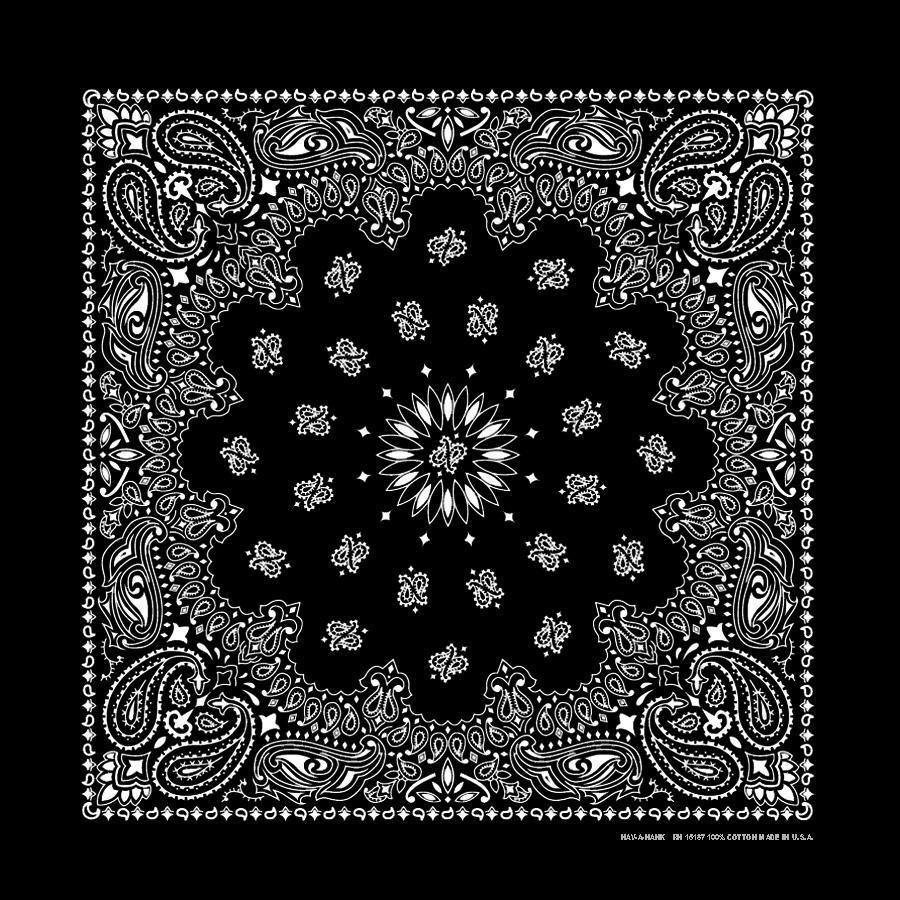 HAV-A-HANK black paisley bandana bandanna