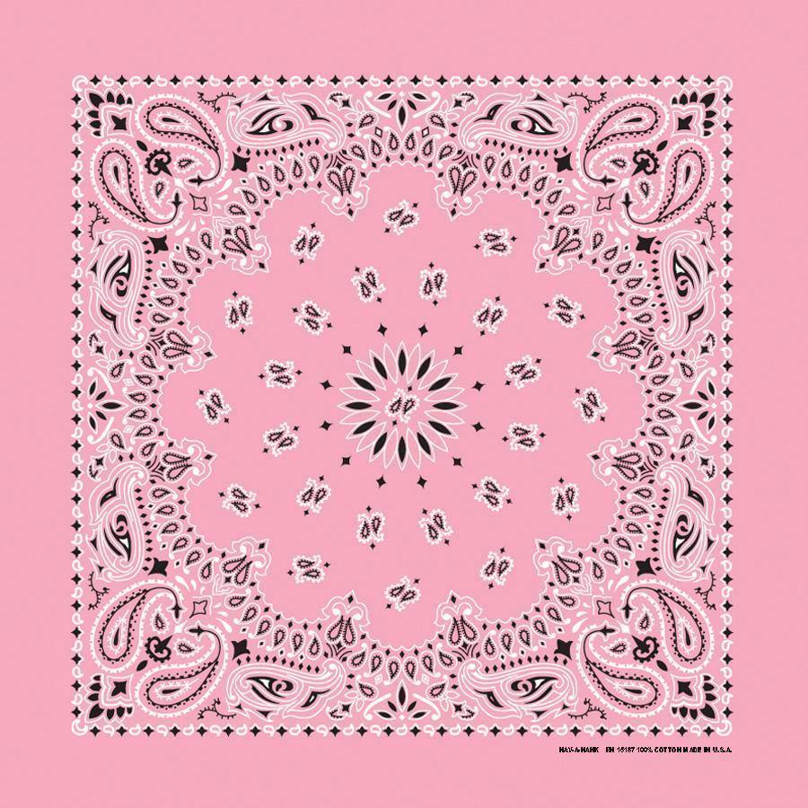HAV-A-HANK light pink paisley bandana bandanna