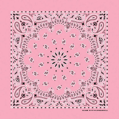 HAV-A-HANK light pink paisley bandana bandanna