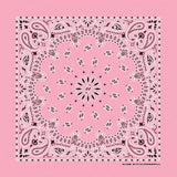 HAV-A-HANK light pink paisley bandana bandanna
