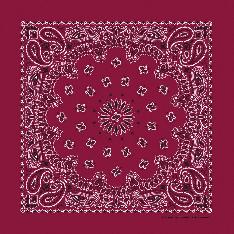 PAISLEY DARK  12 PK - The Bandanna Company Store