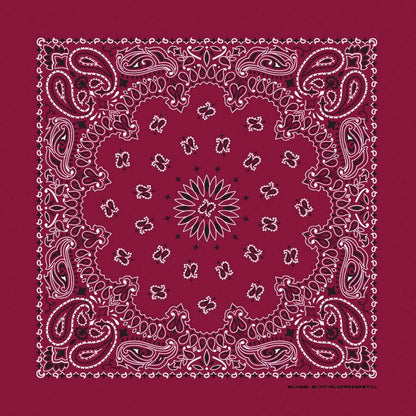 PAISLEY DARK  12 PK - The Bandanna Company Store