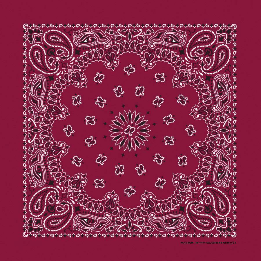 HAV-A-HANK burgundy paisley bandana bandanna