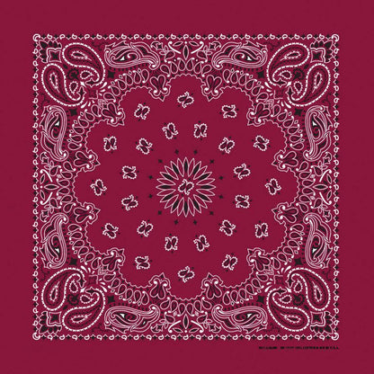 HAV-A-HANK burgundy paisley bandana bandanna
